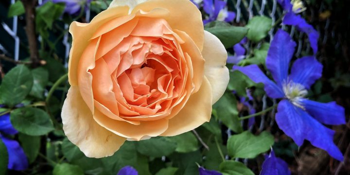 Combinations and Returns