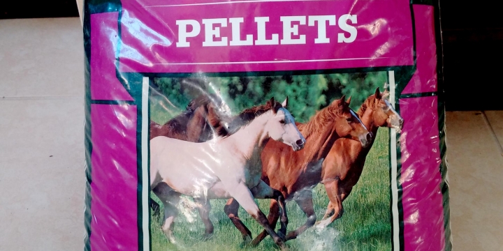 Keeping the horses happy